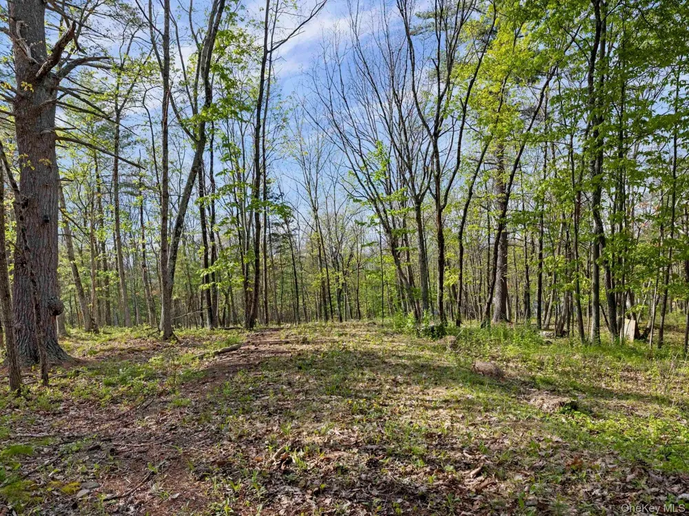 Tbd Route 44/55 Kerhonkson, NY 12446