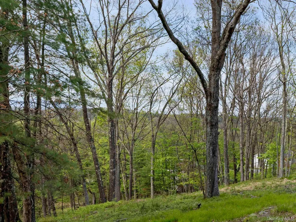 Tbd Route 44/55 Kerhonkson, NY 12446