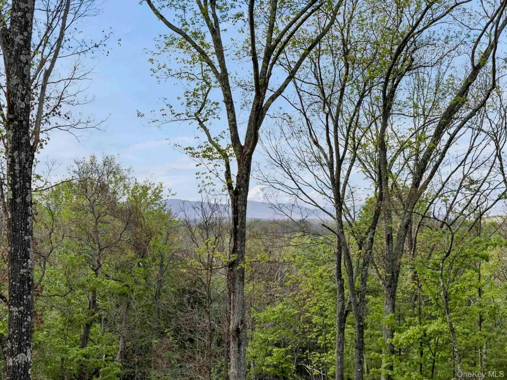 Tbd Route 44/55 Kerhonkson, NY 12446