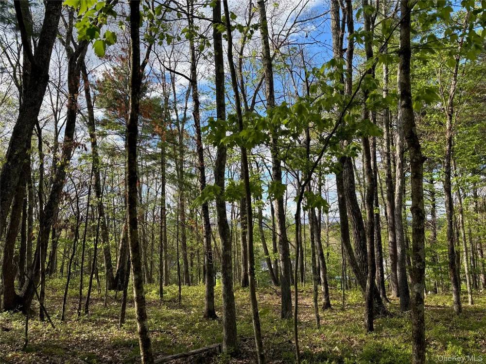 Tbd Route 44/55 Kerhonkson, NY 12446