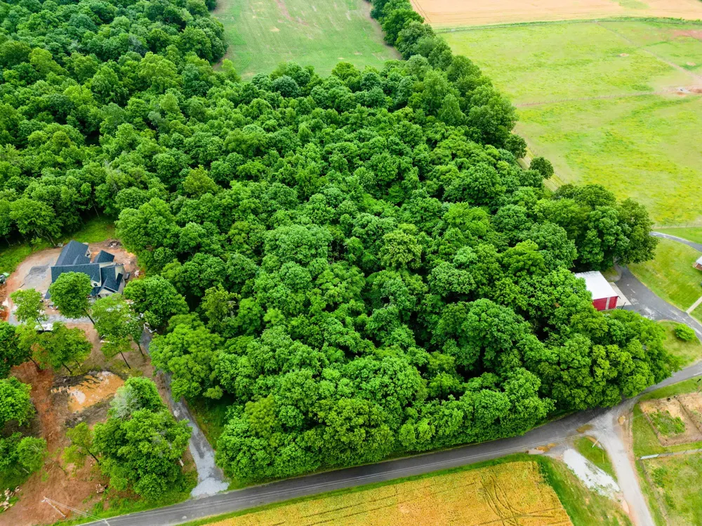 4 J Bourne Rd Adams, TN 37010