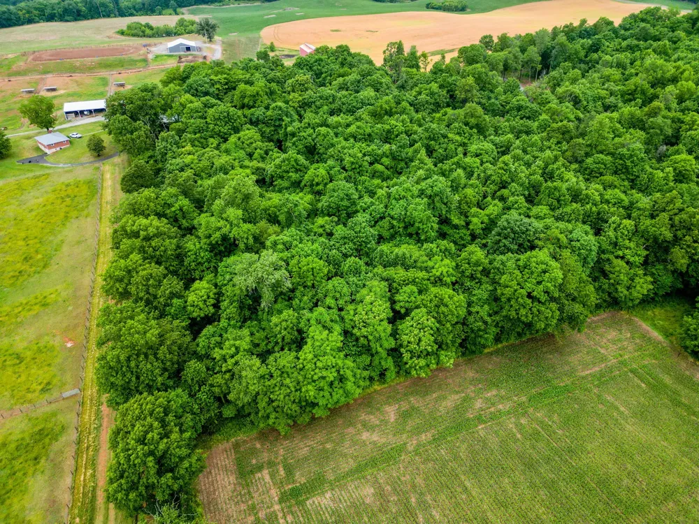 4 J Bourne Rd Adams, TN 37010