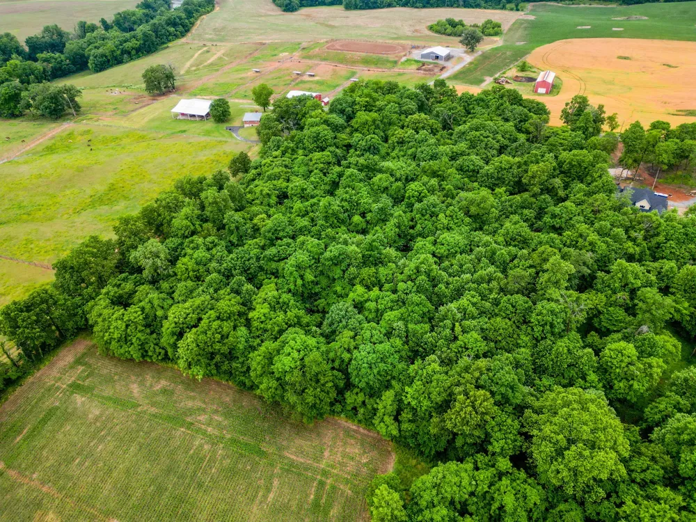 4 J Bourne Rd Adams, TN 37010