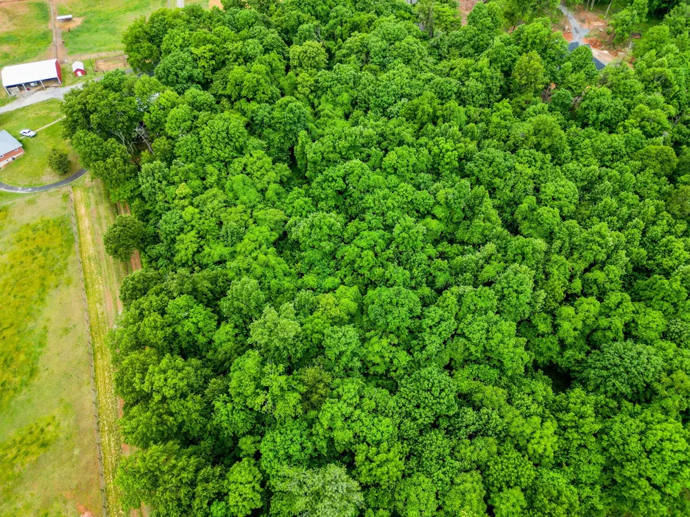 4 J Bourne Rd Adams, TN 37010