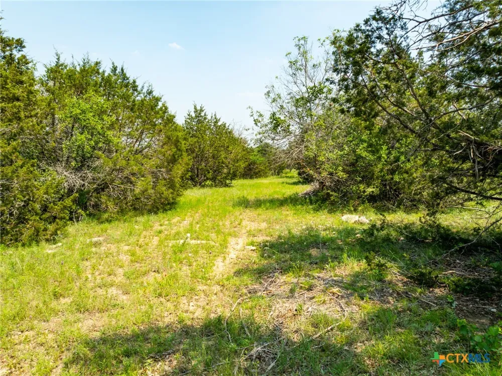 Pitchfork Ranch Road Copperas Cove, TX 76522