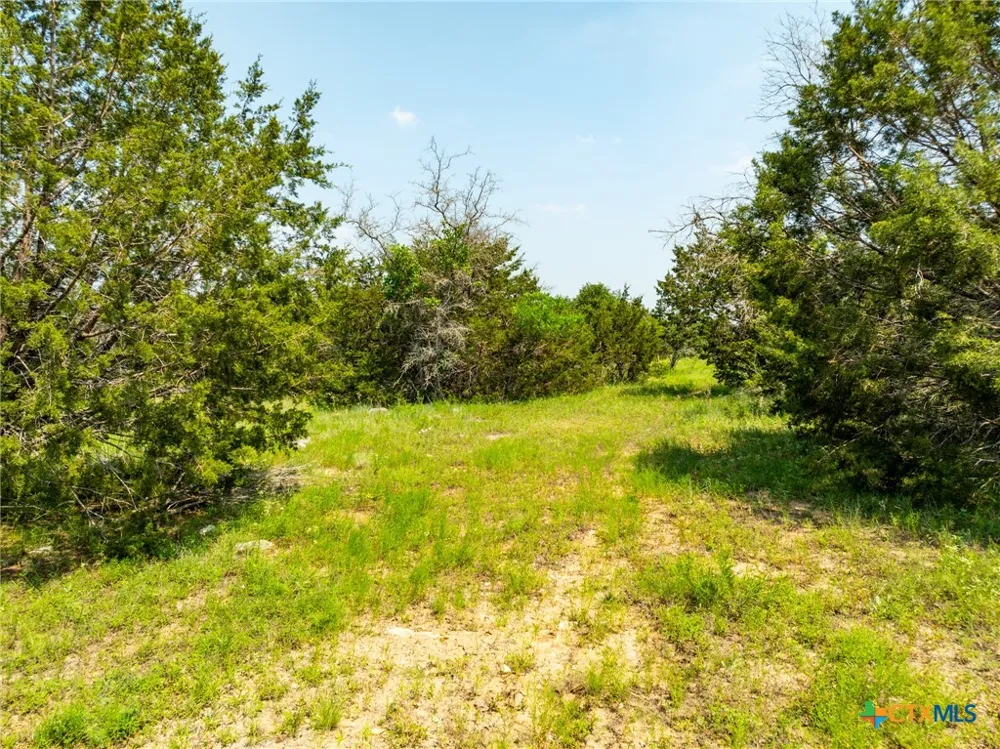 Pitchfork Ranch Road Copperas Cove, TX 76522