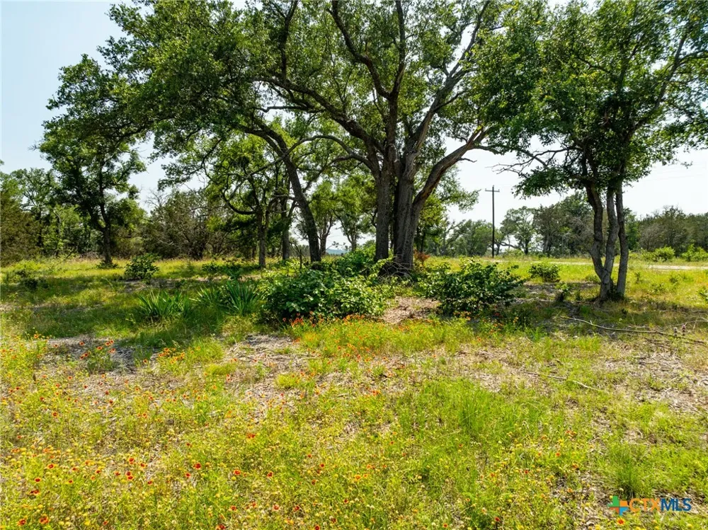 Pitchfork Ranch Road Copperas Cove, TX 76522