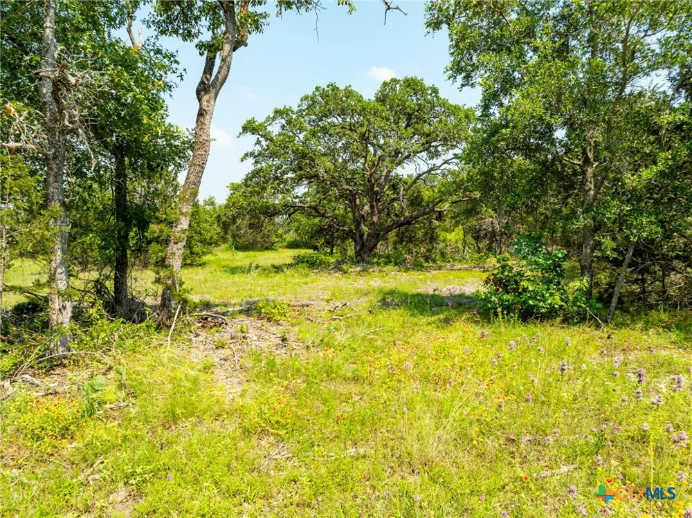Pitchfork Ranch Road Copperas Cove, TX 76522