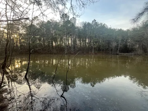 396 County Road 778