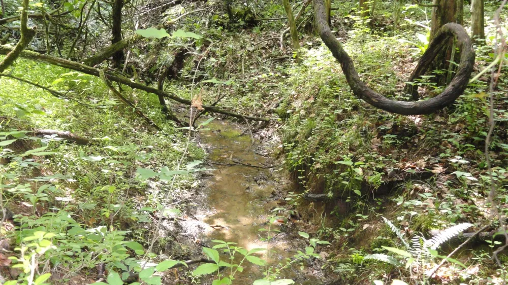 396 County Road 778 Athens, TN 37303