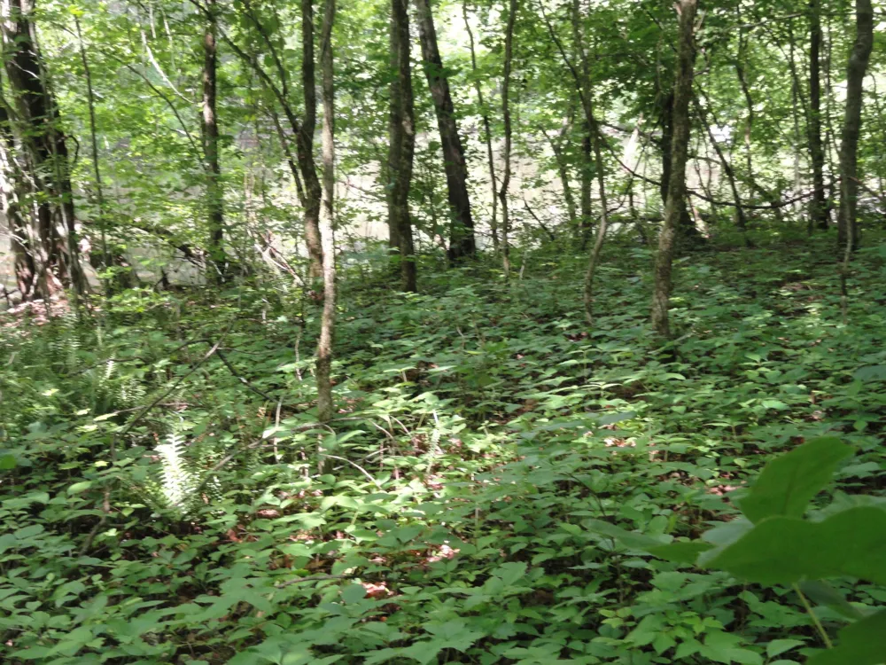 396 County Road 778 Athens, TN 37303
