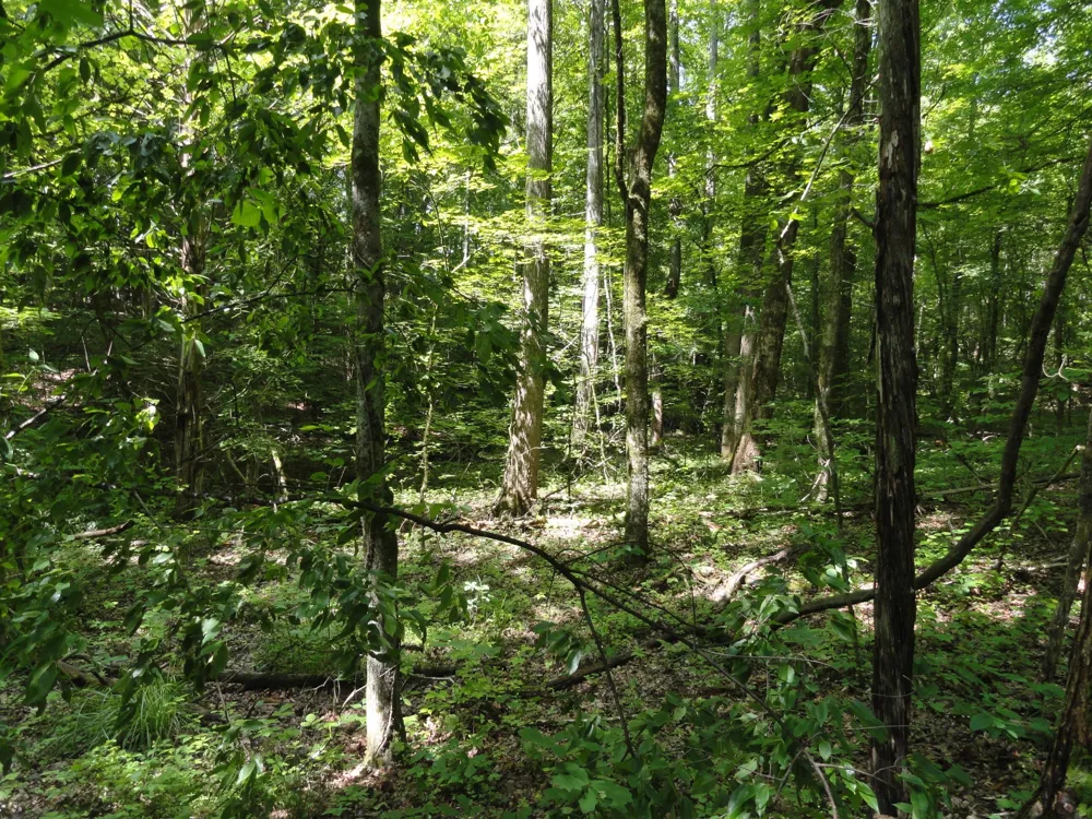 396 County Road 778 Athens, TN 37303