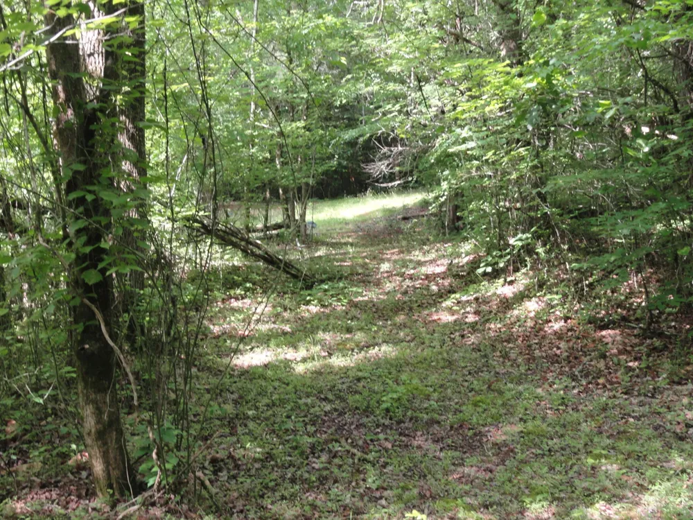 396 County Road 778 Athens, TN 37303