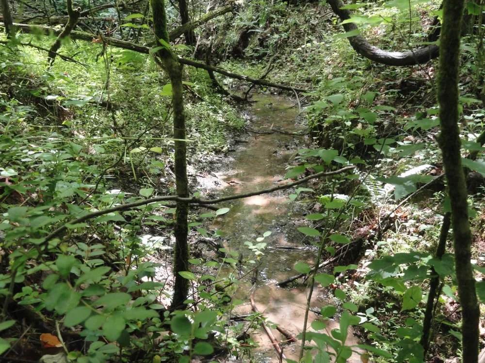 396 County Road 778 Athens, TN 37303