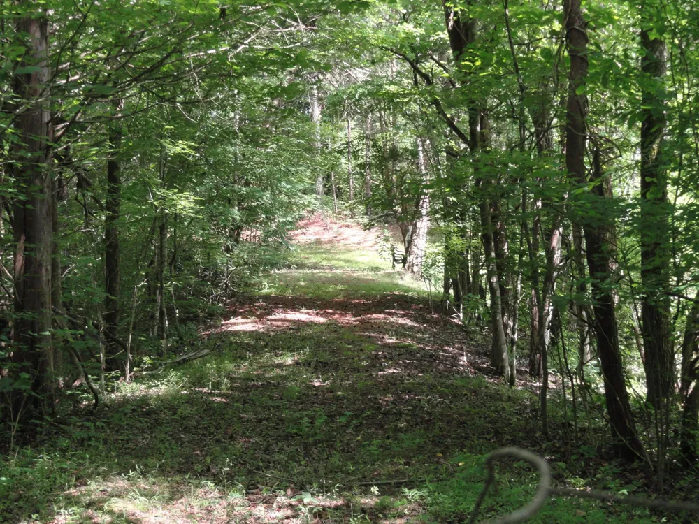 396 County Road 778 Athens, TN 37303