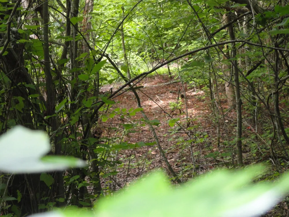 396 County Road 778 Athens, TN 37303