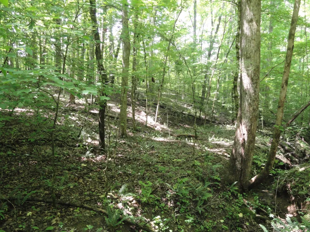 396 County Road 778 Athens, TN 37303