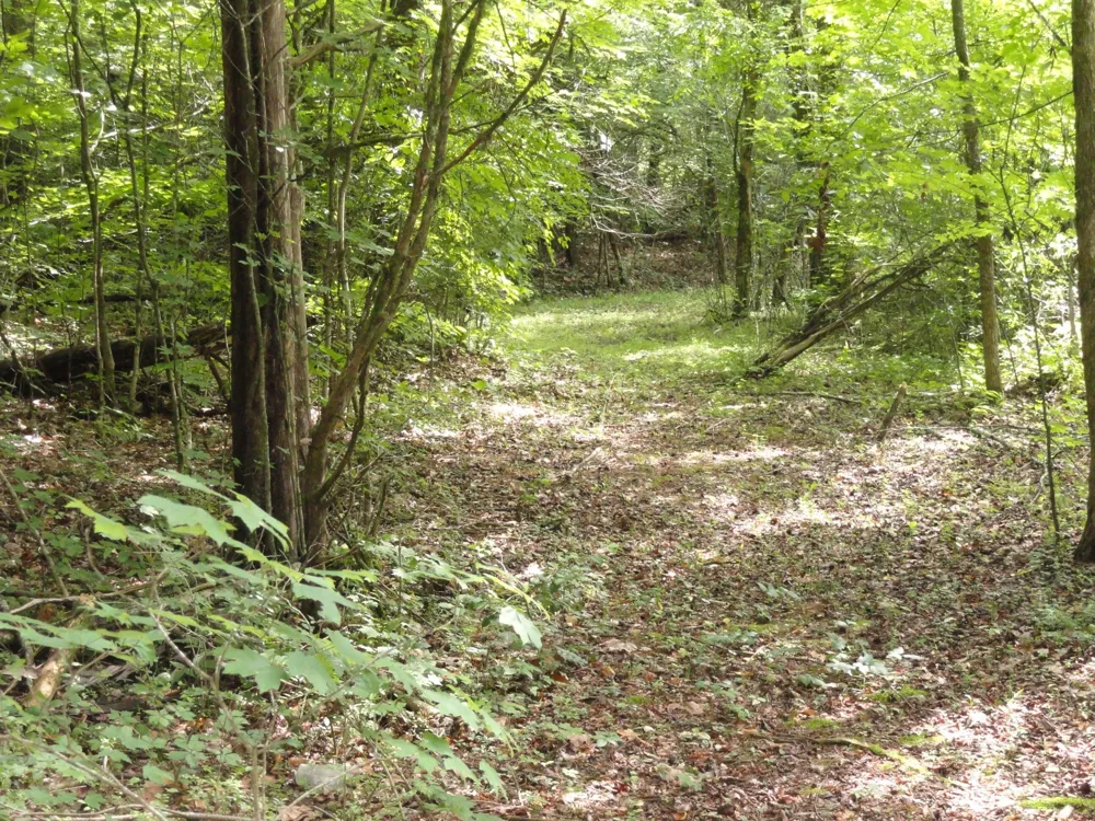 396 County Road 778 Athens, TN 37303