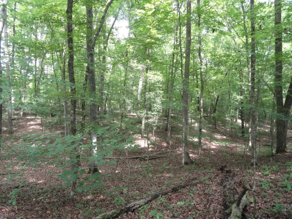 396 County Road 778 Athens, TN 37303