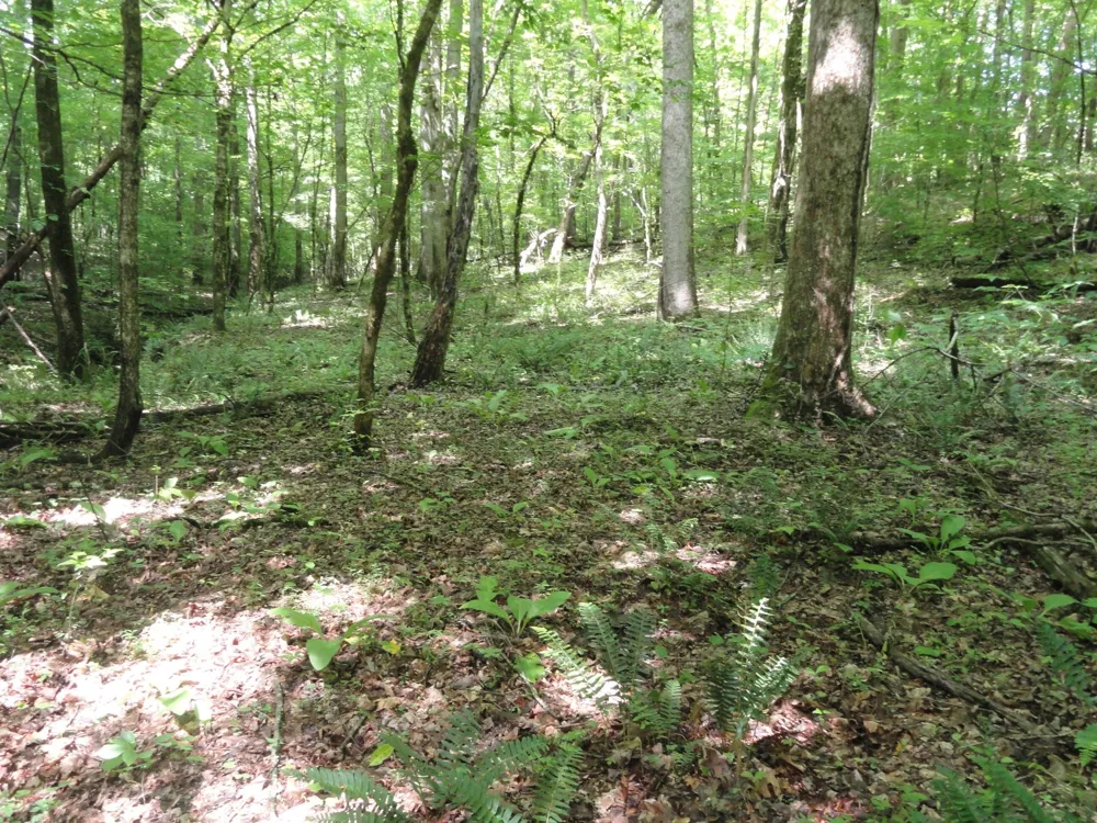 396 County Road 778 Athens, TN 37303