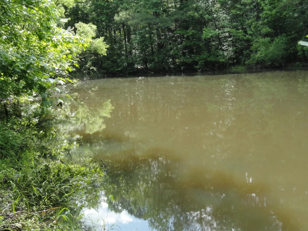 396 County Road 778 Athens, TN 37303