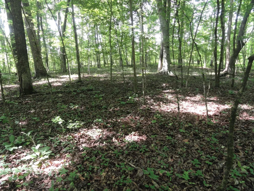 396 County Road 778 Athens, TN 37303