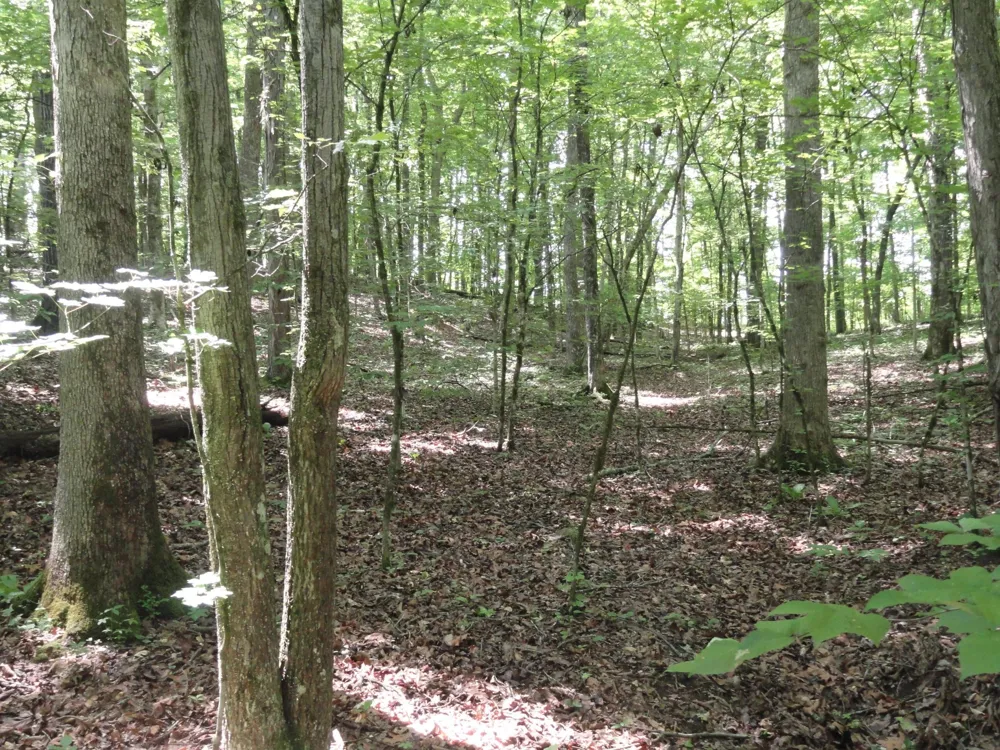 396 County Road 778 Athens, TN 37303