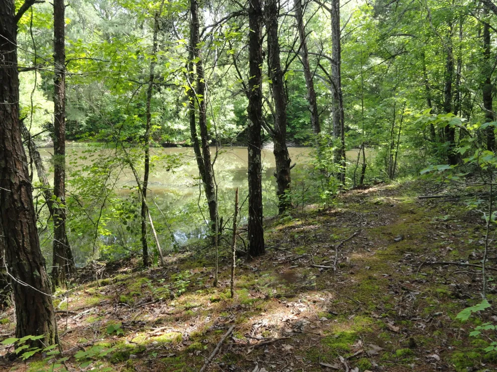 396 County Road 778 Athens, TN 37303