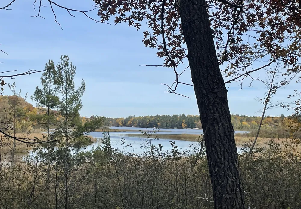 8038 Lost Lake Road #210 Nisswa, MN 56468