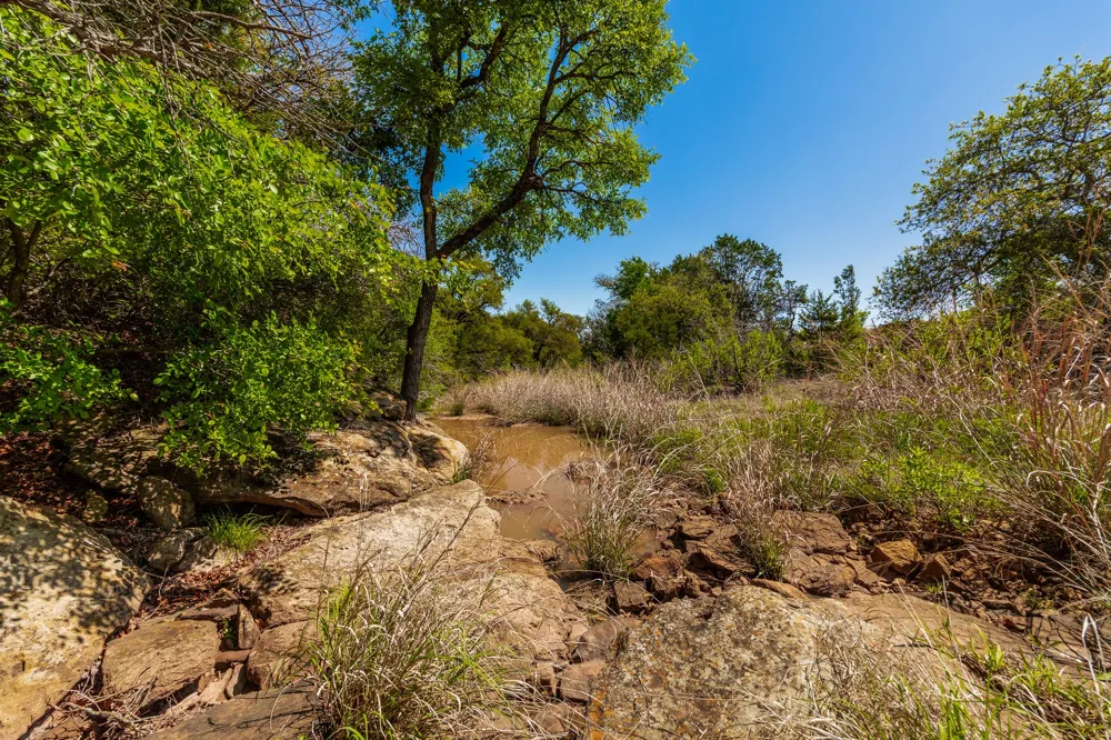 551 COUNTY ROAD 121 Coleman, TX 76834