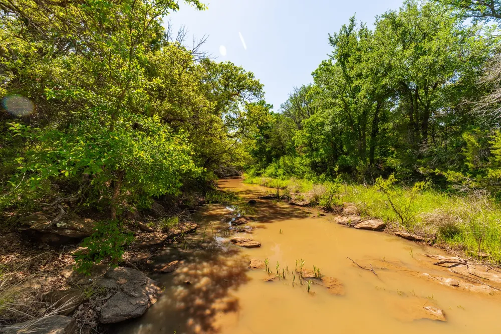 551 COUNTY ROAD 121 Coleman, TX 76834