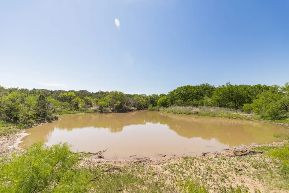 551 COUNTY ROAD 121 Coleman, TX 76834