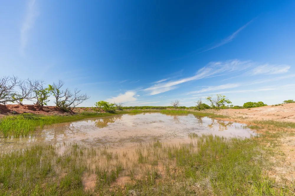 551 COUNTY ROAD 121 Coleman, TX 76834