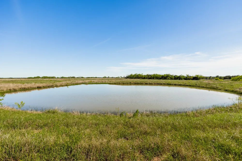 551 COUNTY ROAD 121 Coleman, TX 76834