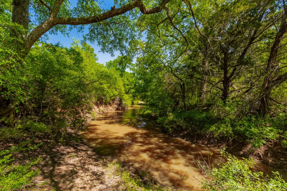 551 COUNTY ROAD 121 Coleman, TX 76834