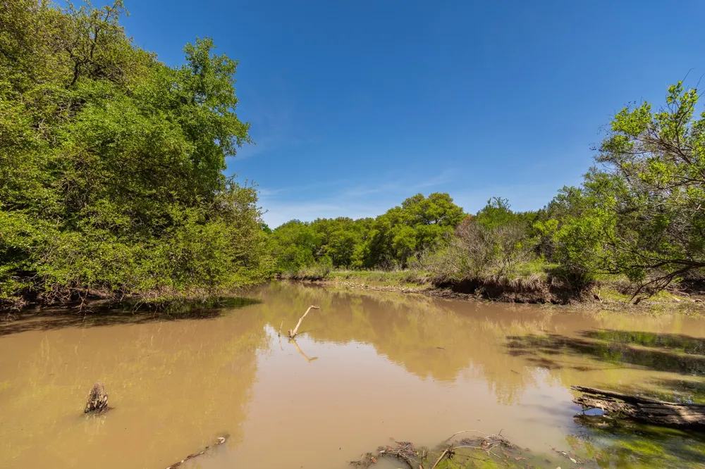 551 COUNTY ROAD 121 Coleman, TX 76834