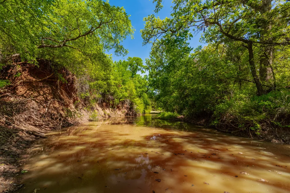 551 COUNTY ROAD 121 Coleman, TX 76834