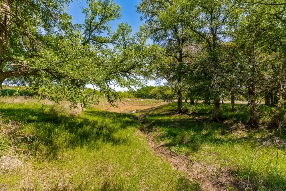 551 COUNTY ROAD 121 Coleman, TX 76834