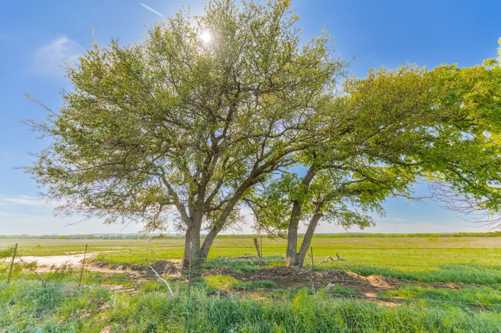 551 COUNTY ROAD 121 Coleman, TX 76834