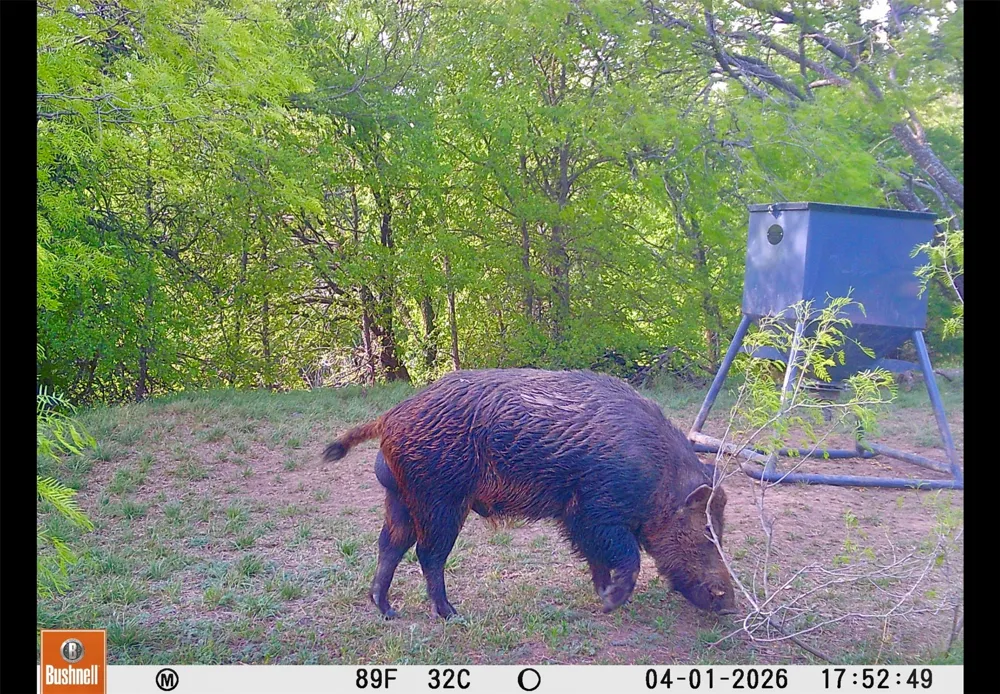 551 COUNTY ROAD 121 Coleman, TX 76834