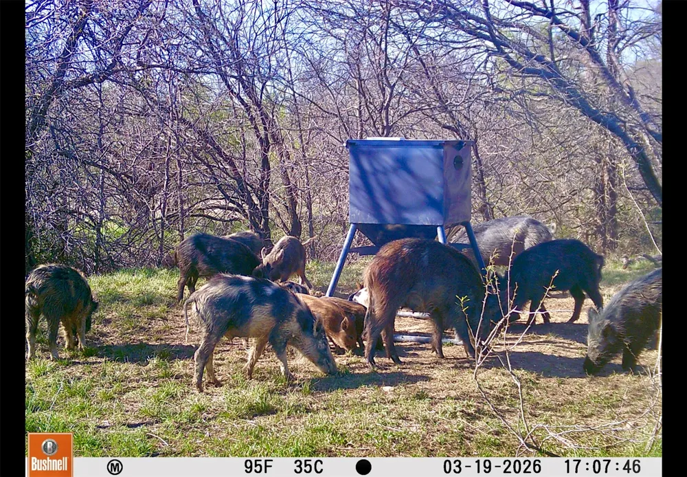 551 COUNTY ROAD 121 Coleman, TX 76834