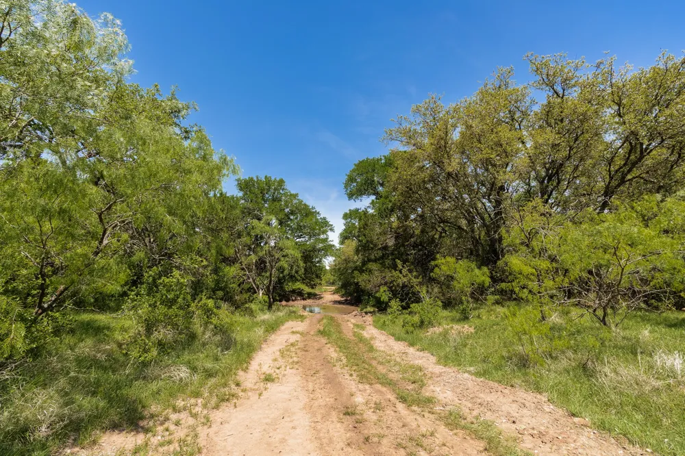 551 COUNTY ROAD 121 Coleman, TX 76834