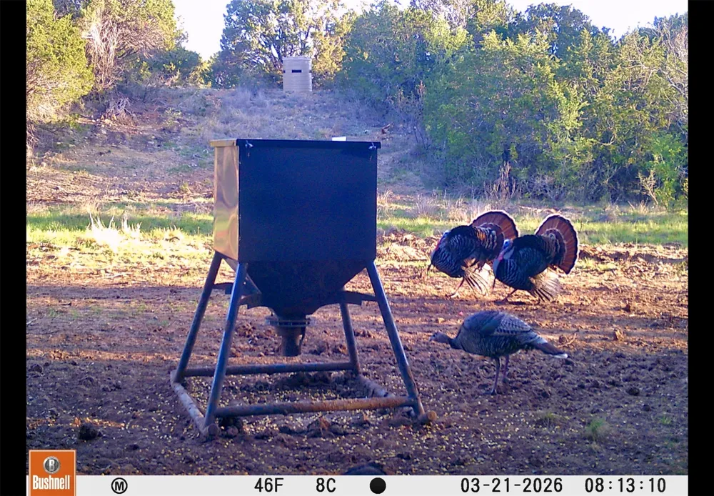 551 COUNTY ROAD 121 Coleman, TX 76834