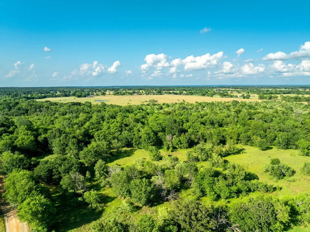 Malone Midway, TX 75852