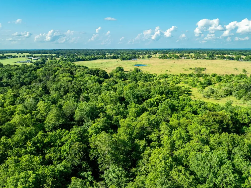Malone Midway, TX 75852