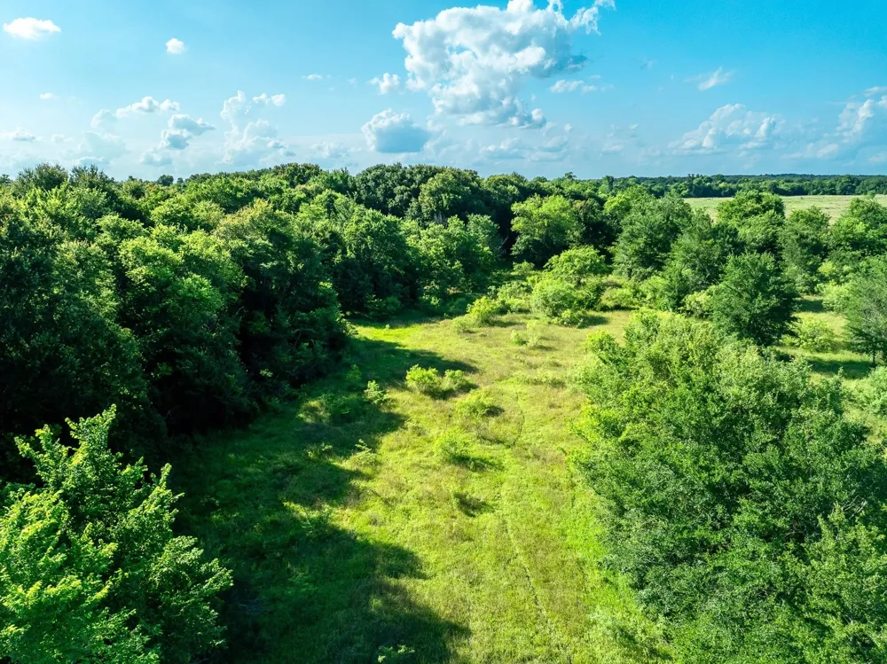 Malone Midway, TX 75852