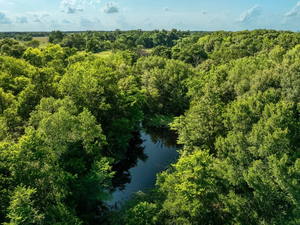 Malone Midway, TX 75852