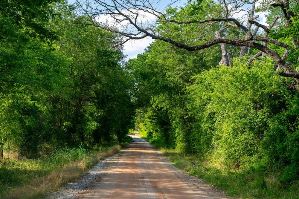 Malone Midway, TX 75852