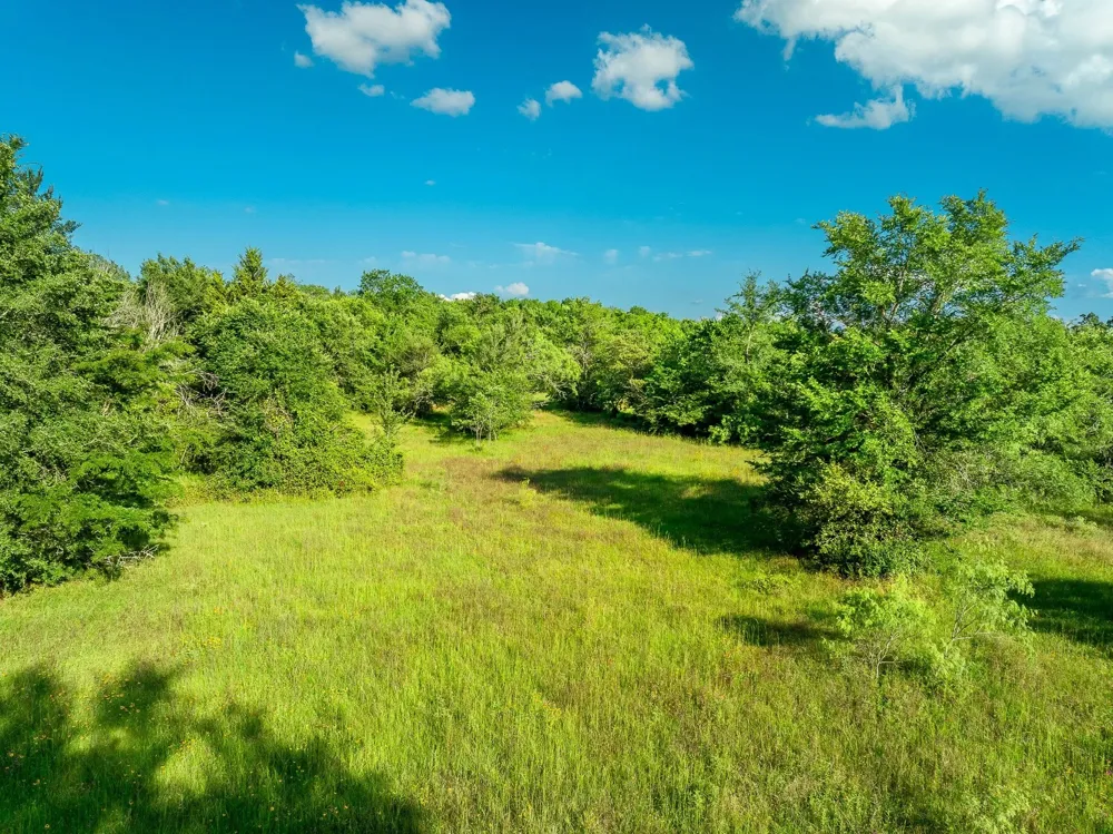 Malone Midway, TX 75852