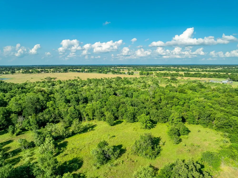 Malone Midway, TX 75852